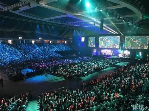 有养宠者的 有养宠者的